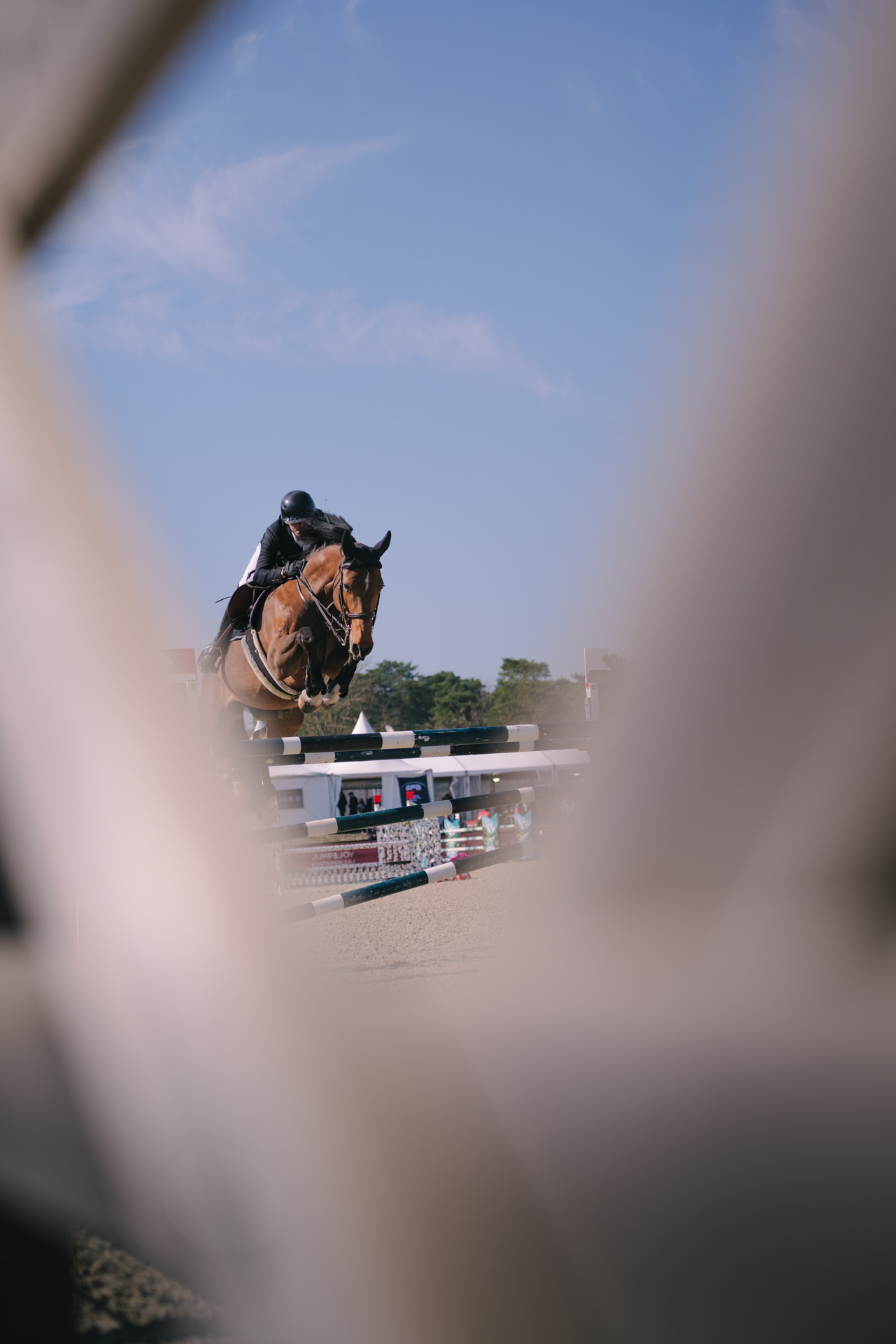 2026.03.20_Jump_and_Joy_1159367
